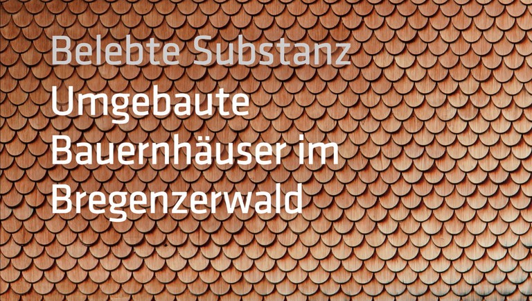 Buchprojekt "Belebte Substanz"